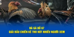Đá Gà Bồ 67